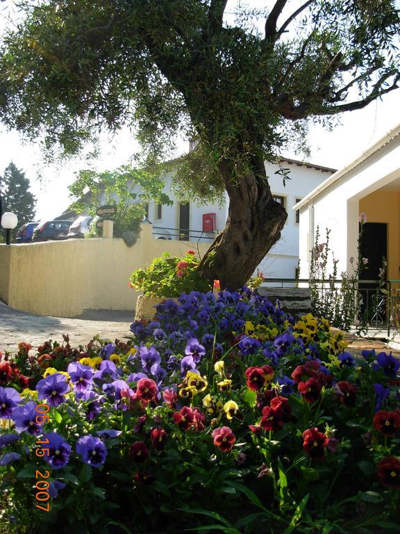 Marilena Hotel Ypsos Zewnętrze zdjęcie
